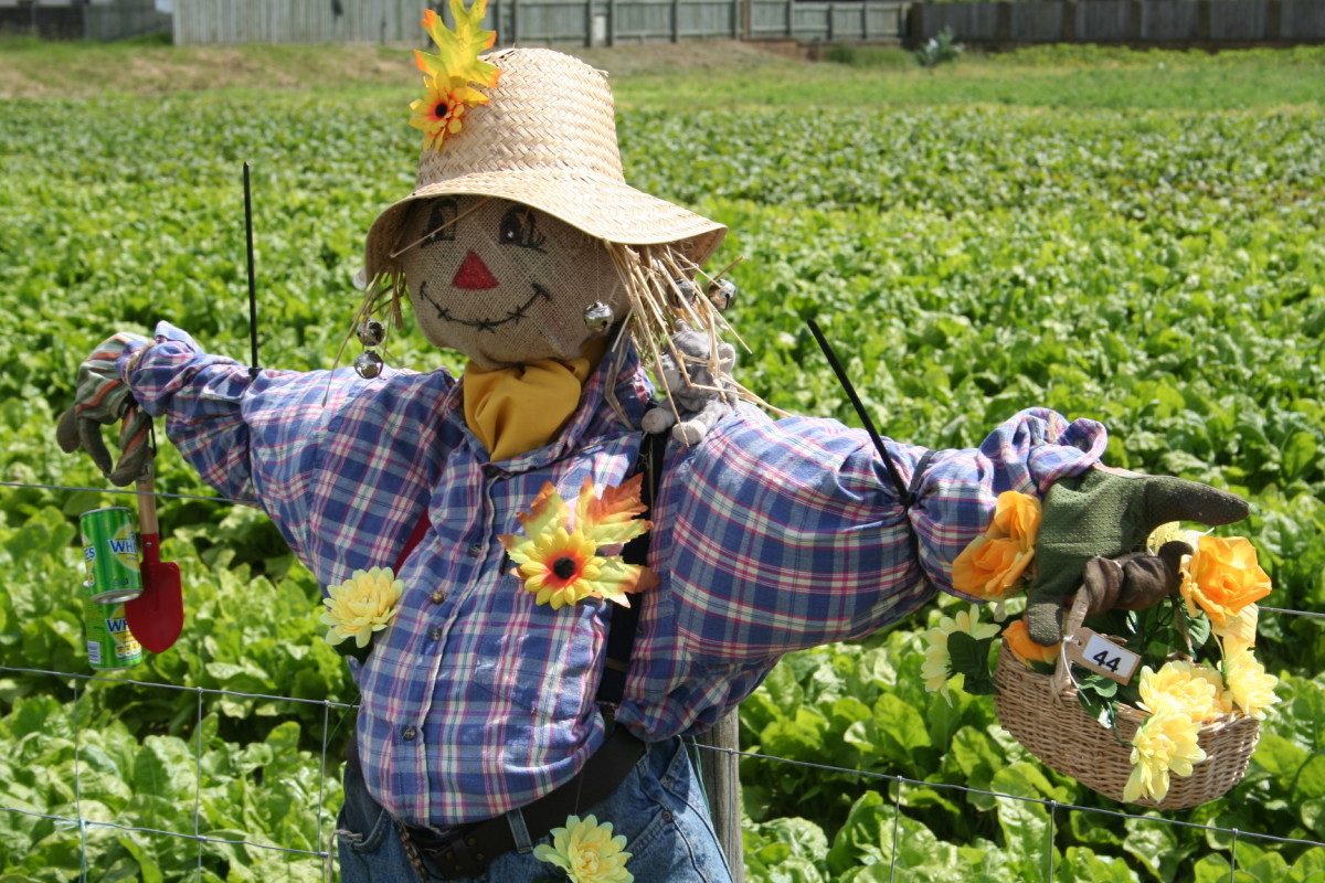 Scarecrows must be effective deterrents because they are used by farmers around the world.