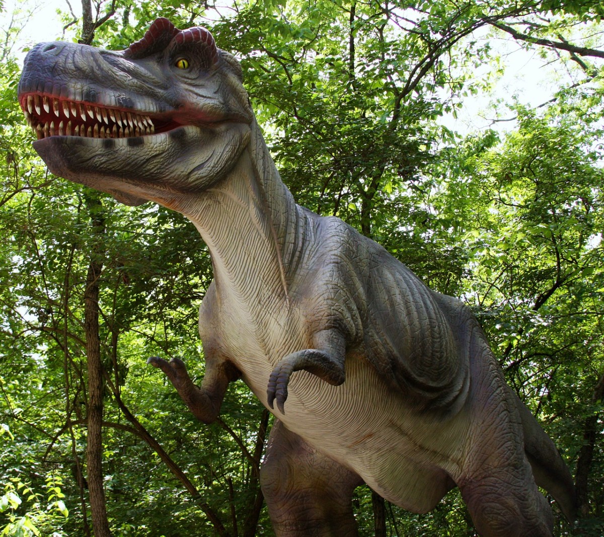 Interesting Facts on Tyrannosaurus Rex & Albertosaurus