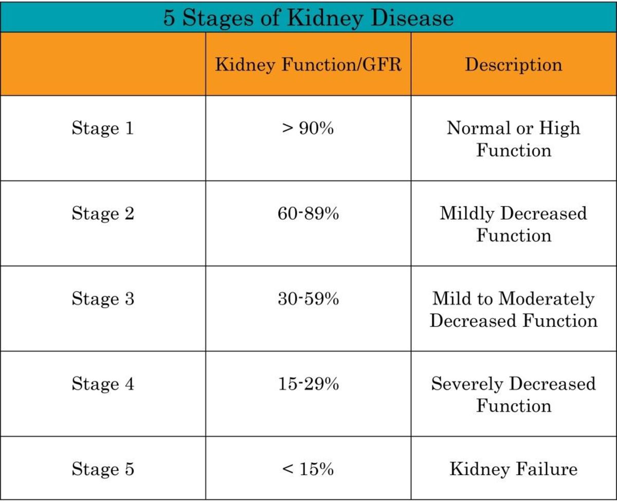 The five stages of kidney disease