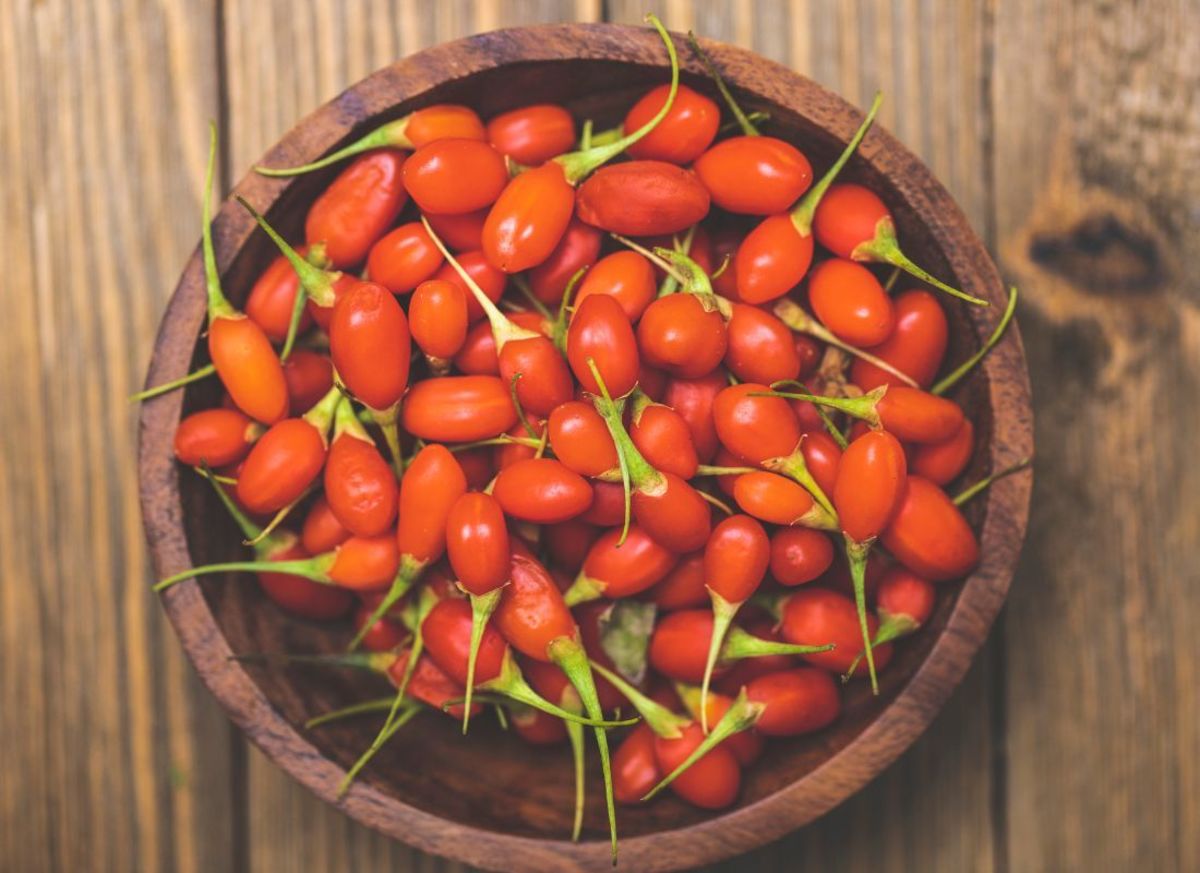 How to Grow Goji Berries in a Pot