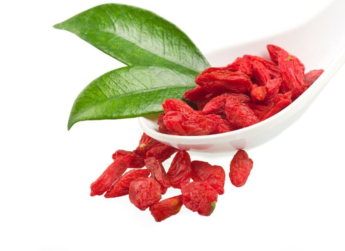 How to Grow Goji Berries in a Pot Delishably