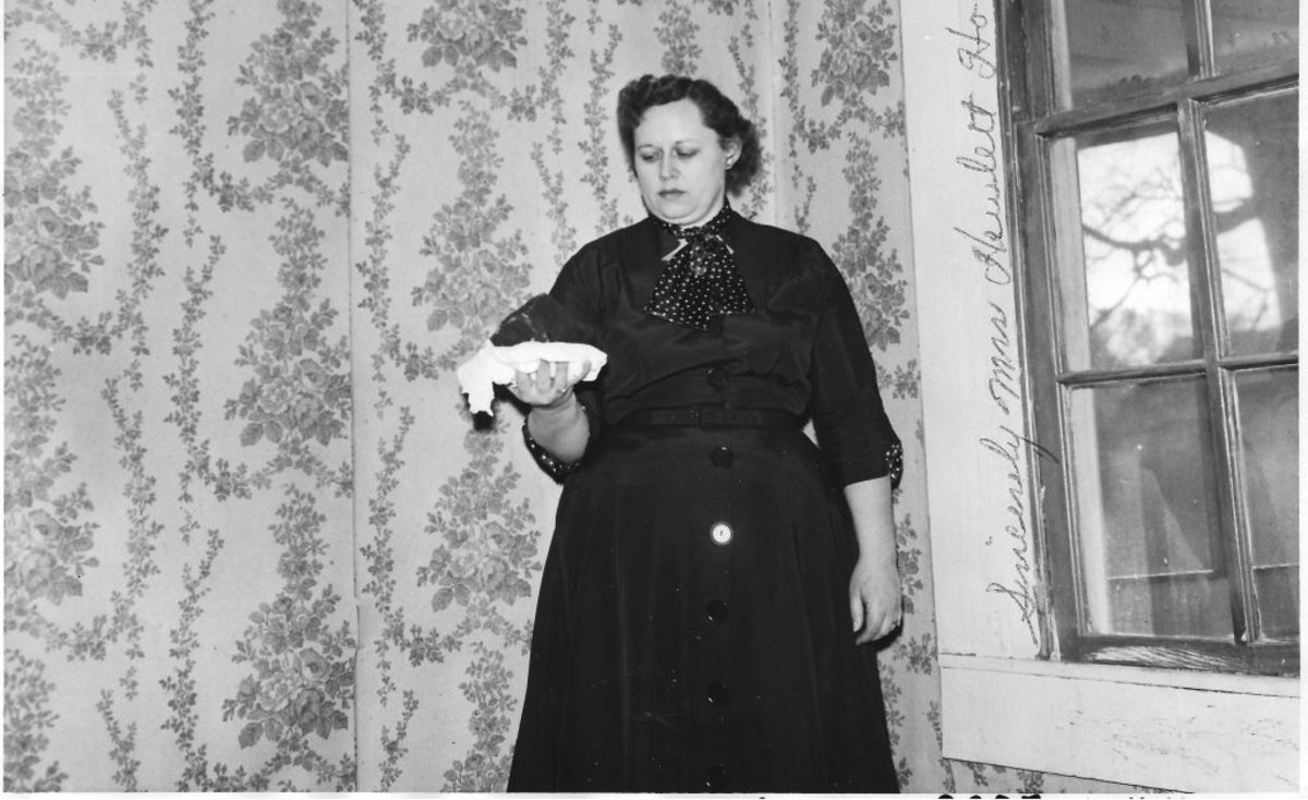 Ann Hodges, History’s Only Known Meteorite Victim Owlcation