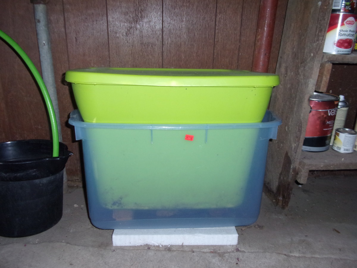 Worm Composting Simplified - HubPages