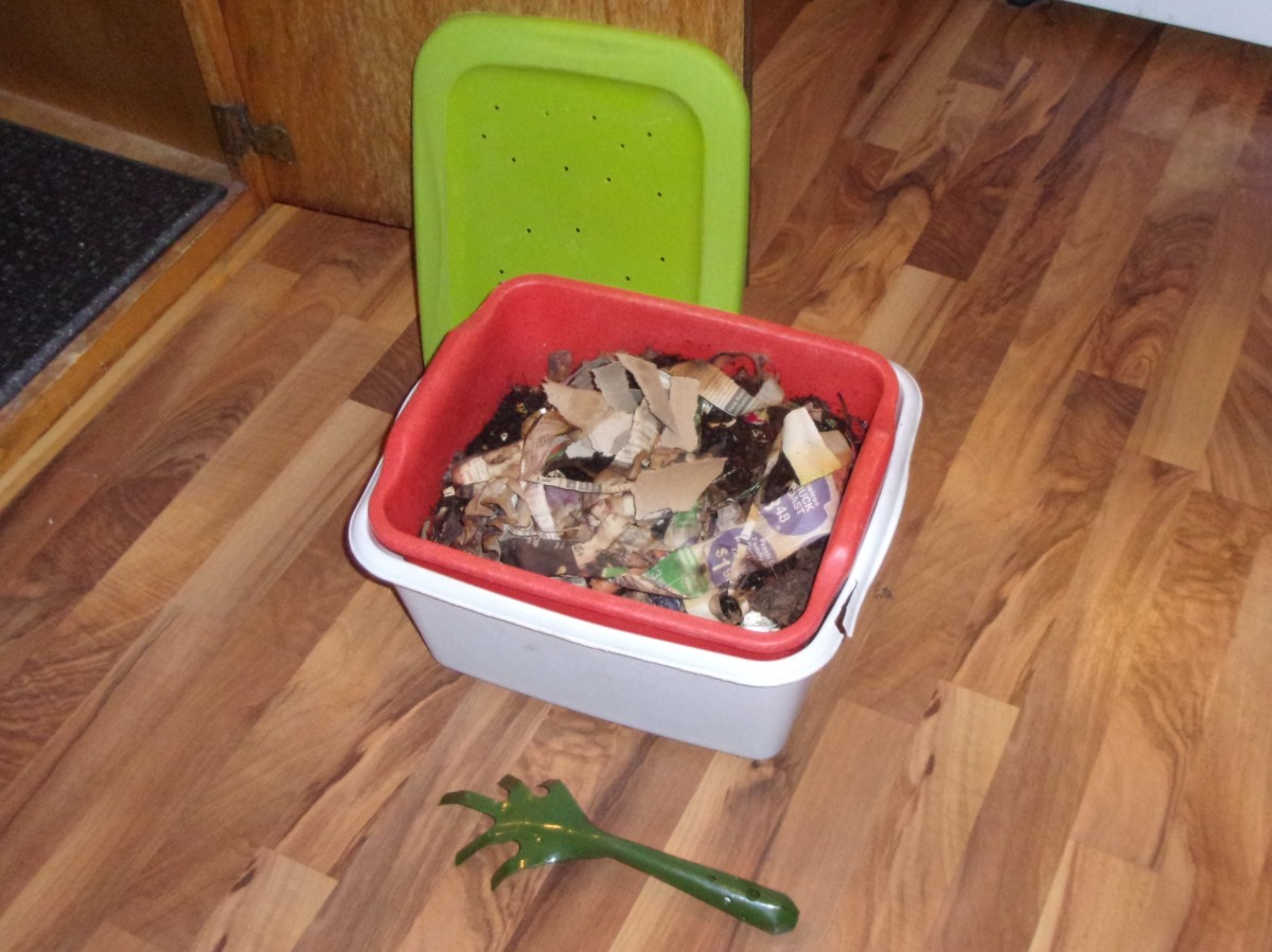 Worm Composting Simplified