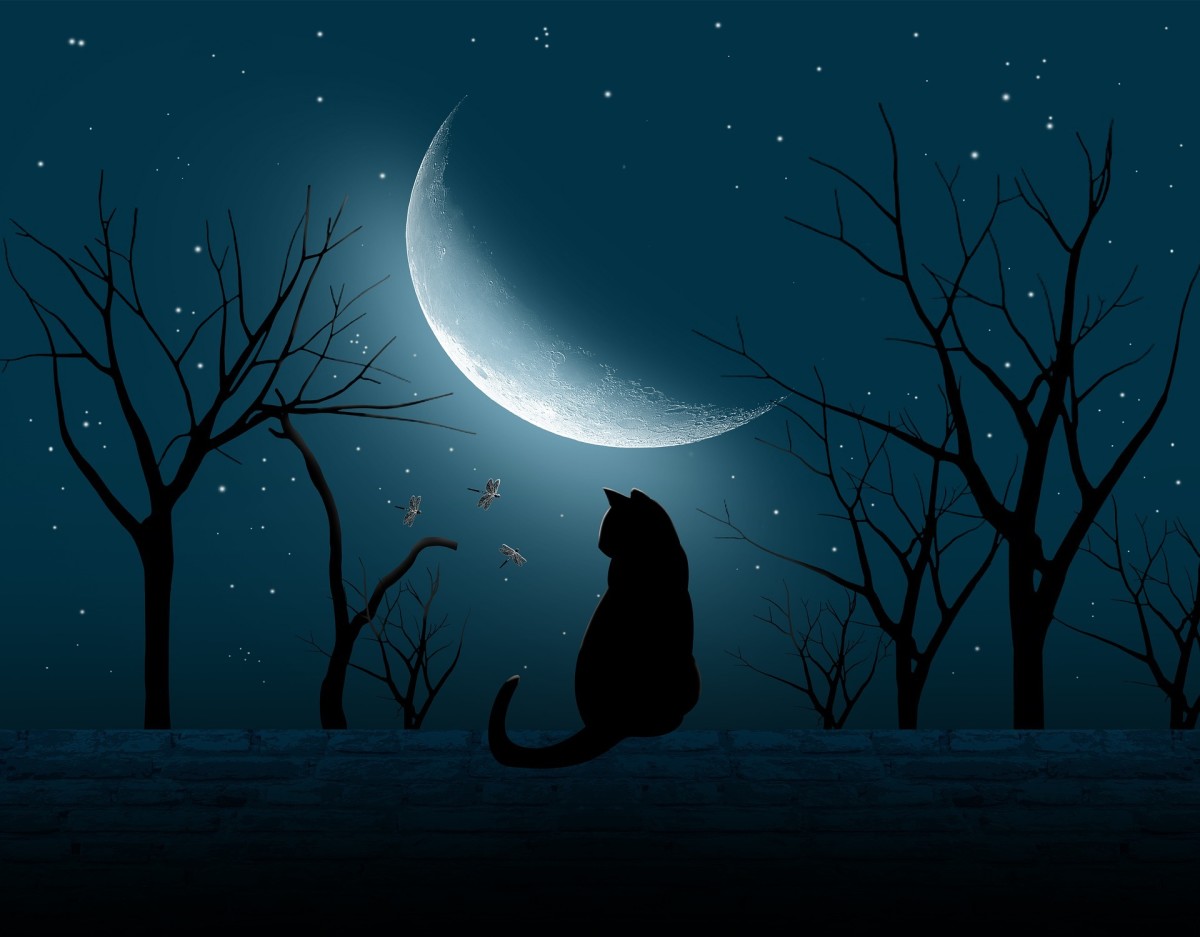 The Waning Crescent Moon provides a perfect time to do banishment spells or engage in shadow work.