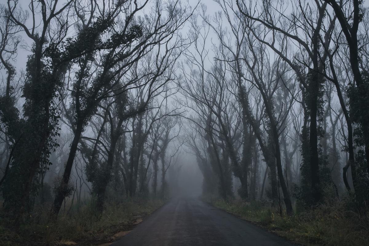 10 Most Haunted Roads in the World