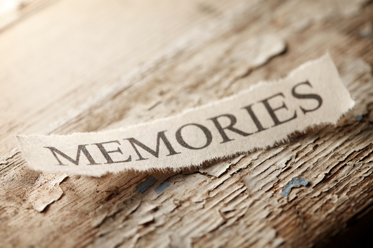 All You Need to Know About Memory: Exploring Factors, Strategies, and Techniques for Improvement and Maintenance