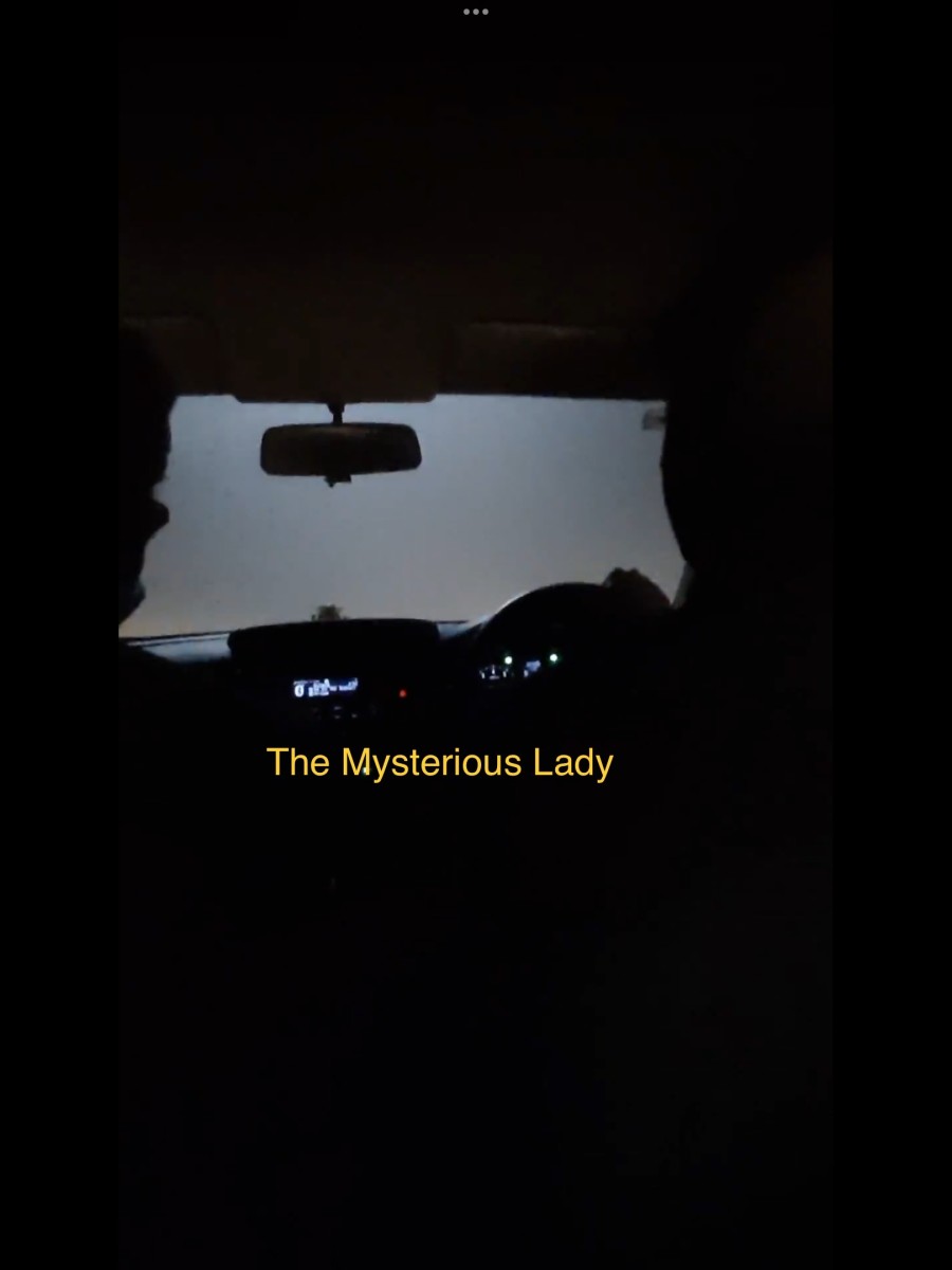 The Mysterious Lady: Poem