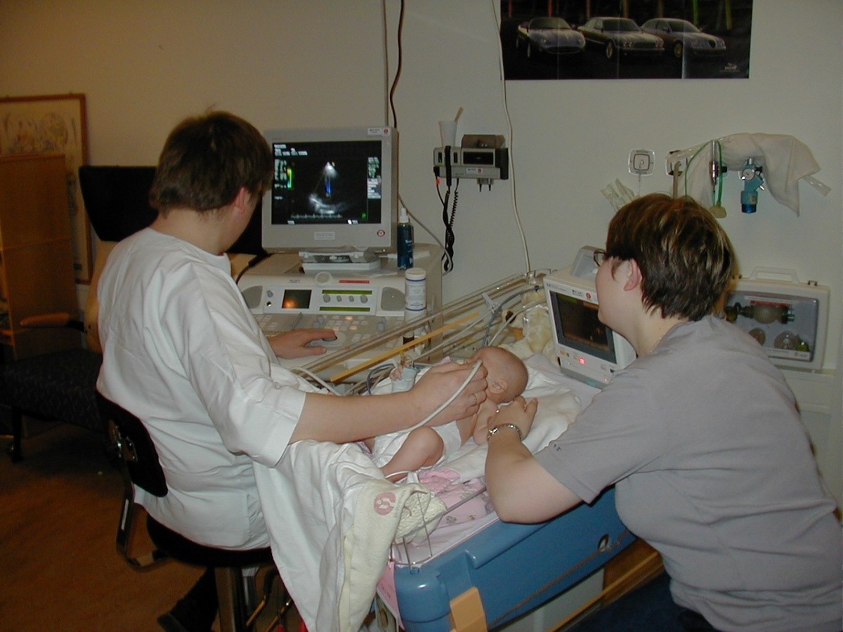How Does an Ultrasound Pregnancy Scan Work? A Fundamental Explanation