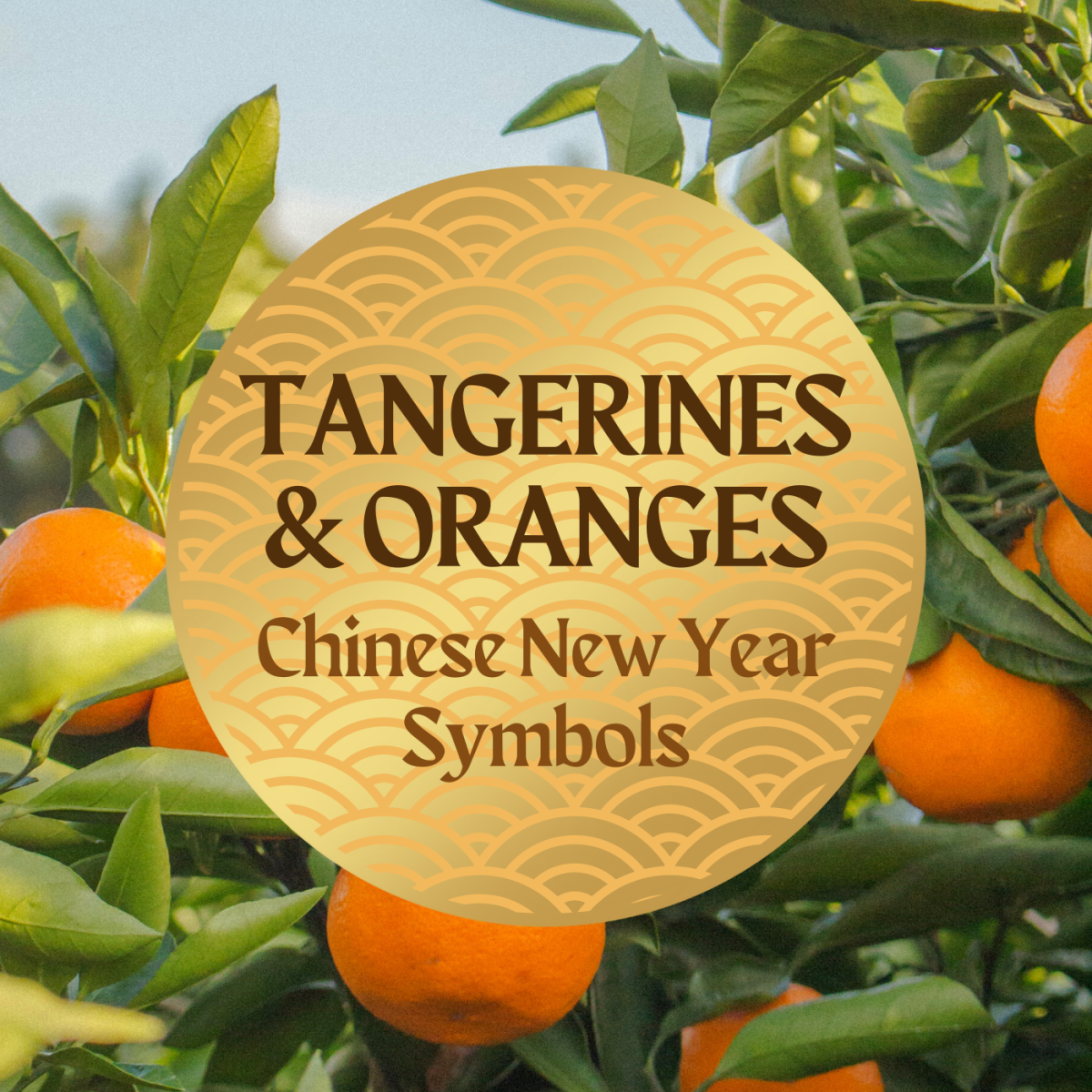 Tangerine and Orange Symbolism for Chinese New Year Holidappy