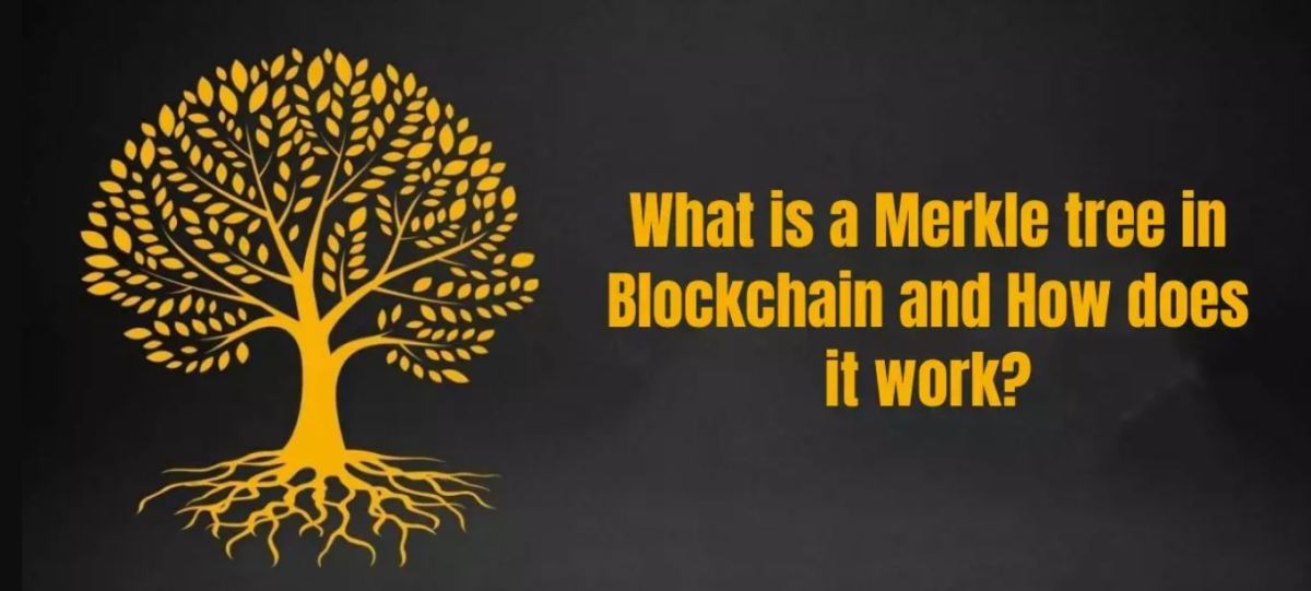 Unveiling the Mystery of Merkle Trees in Blockchain Technology: Understanding Its Functionality