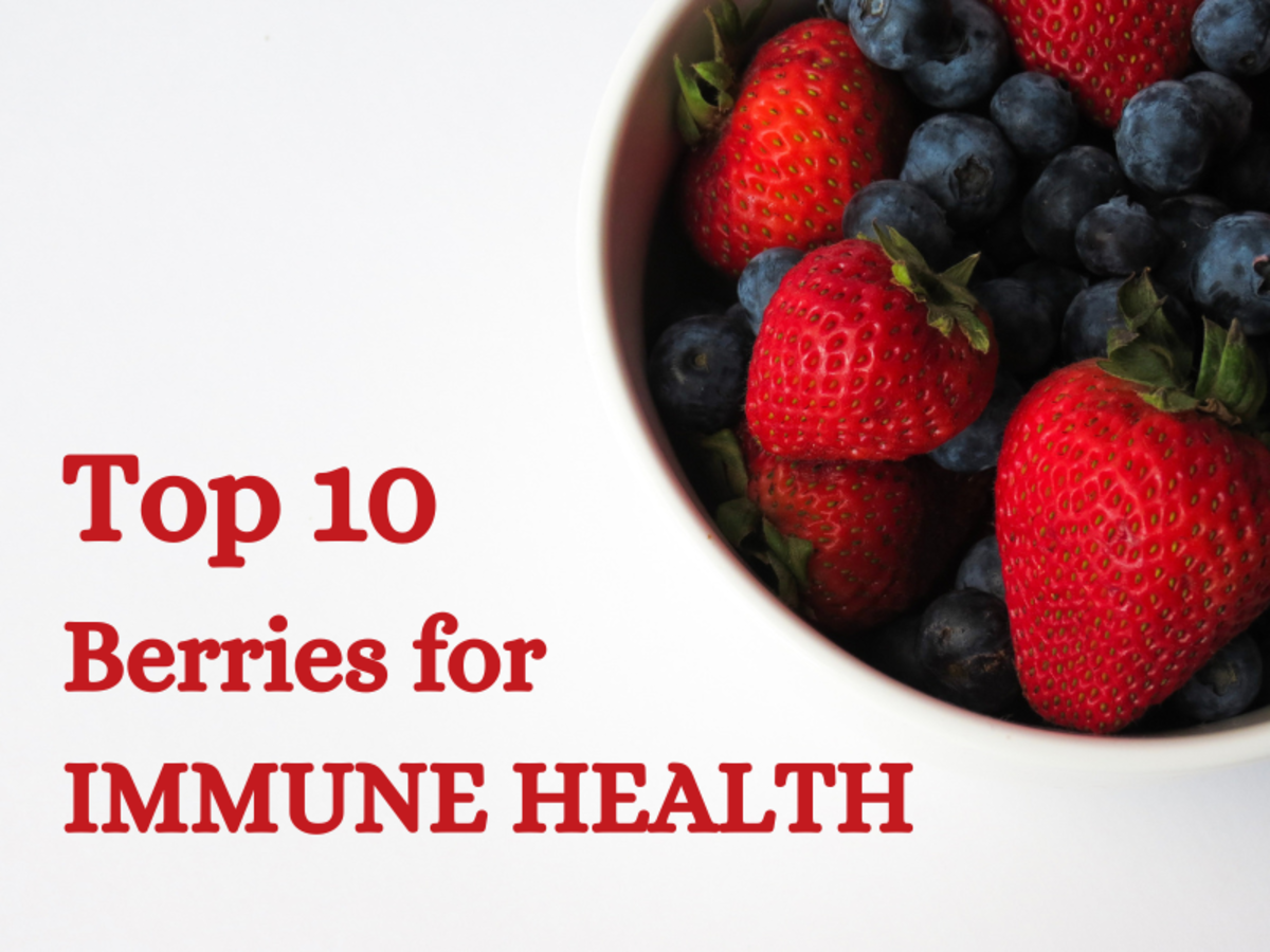 trække Vellykket Nord Vest The Top 10 Nutritious Berries for a Healthy Immune System - CalorieBee