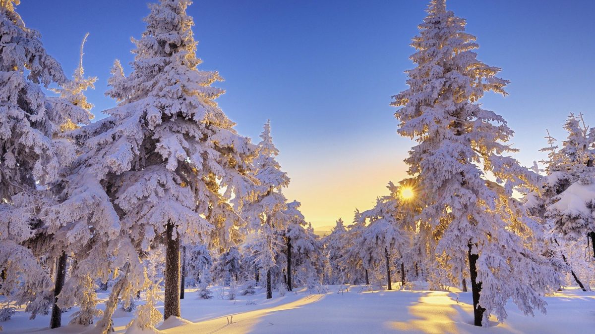 Winter Wonderland: A Poem