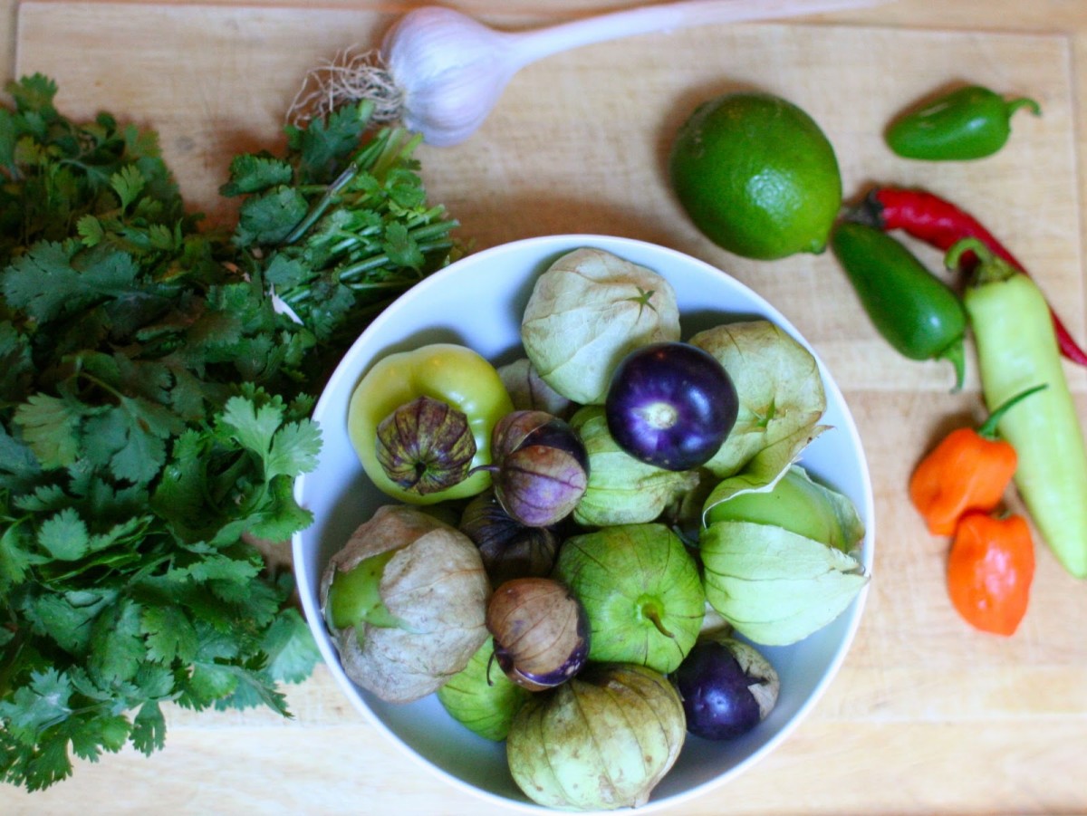 How to Grow Tomatillos (Plus Two Delicious Recipes) Dengarden