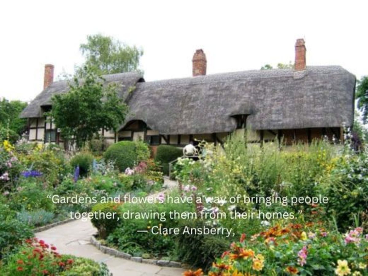 The Basics of an English Cottage Style Garden