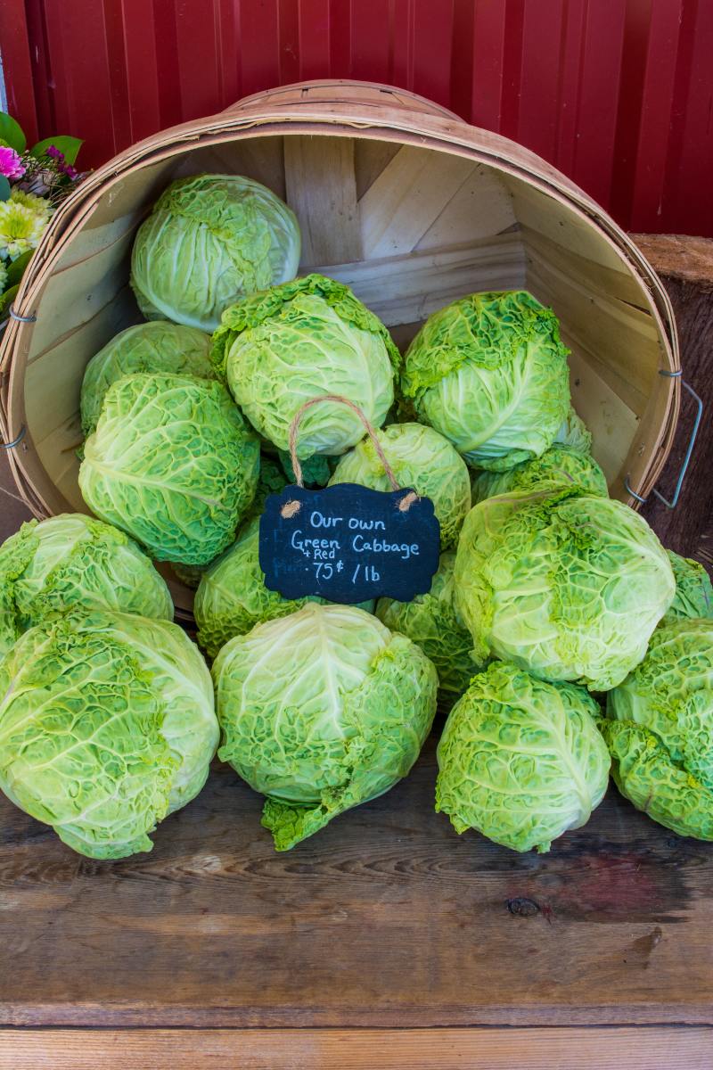 Why Does Cabbage Smell When You Cook It? HubPages