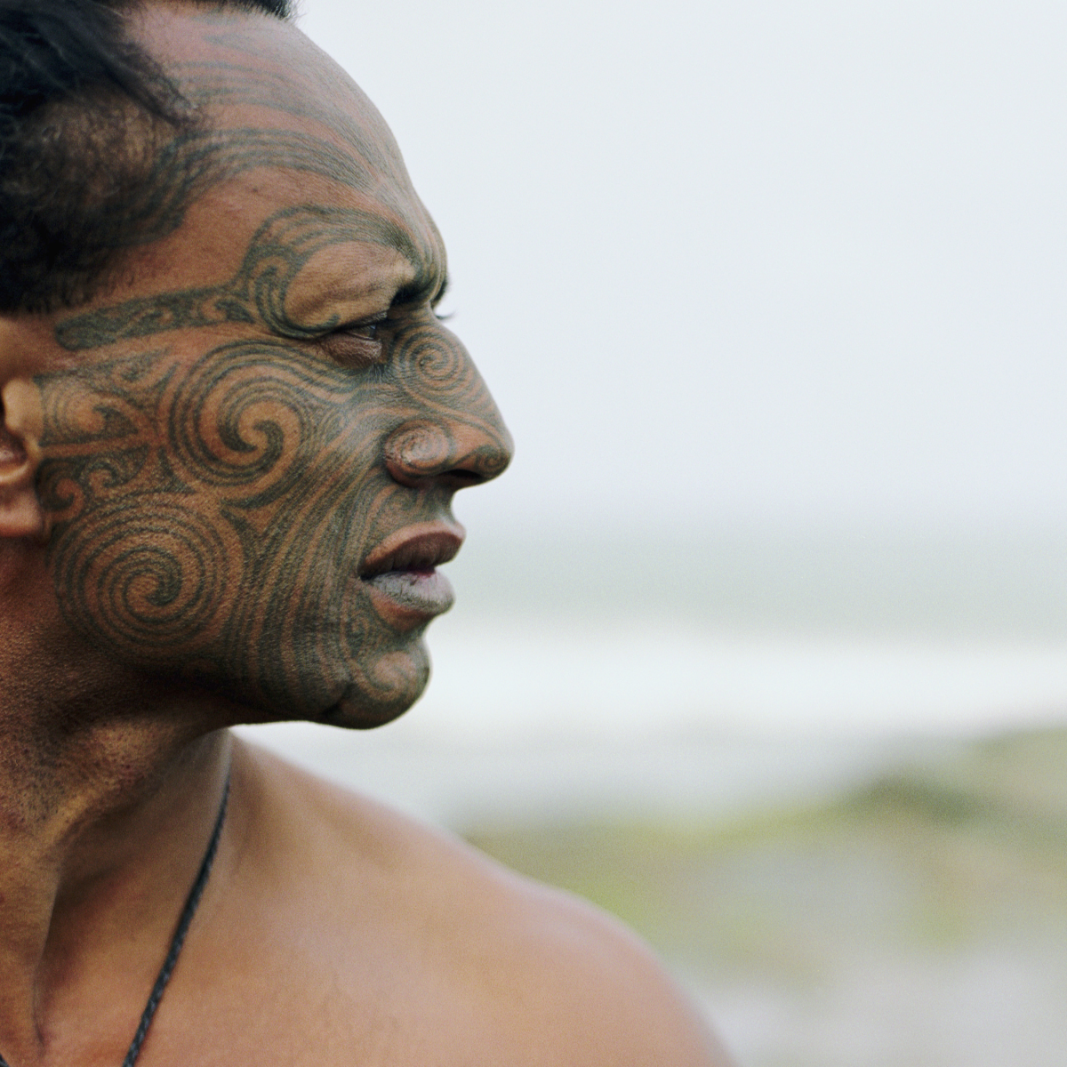 Tribal Skull Tattoos Clipart Maori - Maori Face Tattoo Drawing, HD Png  Download , Transparent Png Image - PNGitem