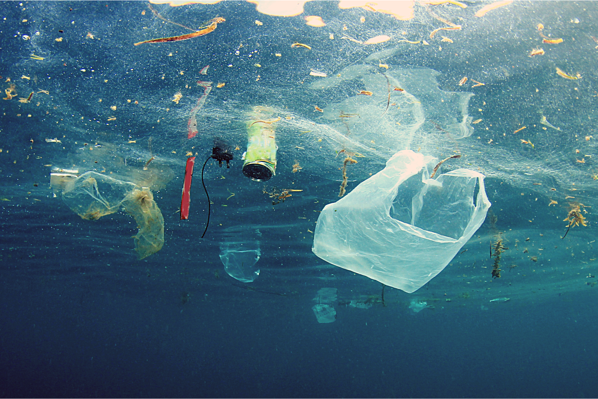Swimming in Plastic: The Worldwide Problem of Plastic Pollution