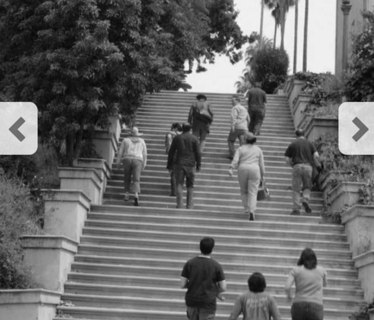 The Life at Echo Park - HubPages