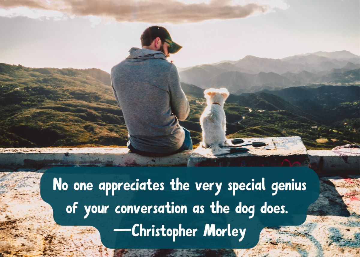 Dog Quotes: Wonderful Sayings About Man's Best Friend - PetHelpful