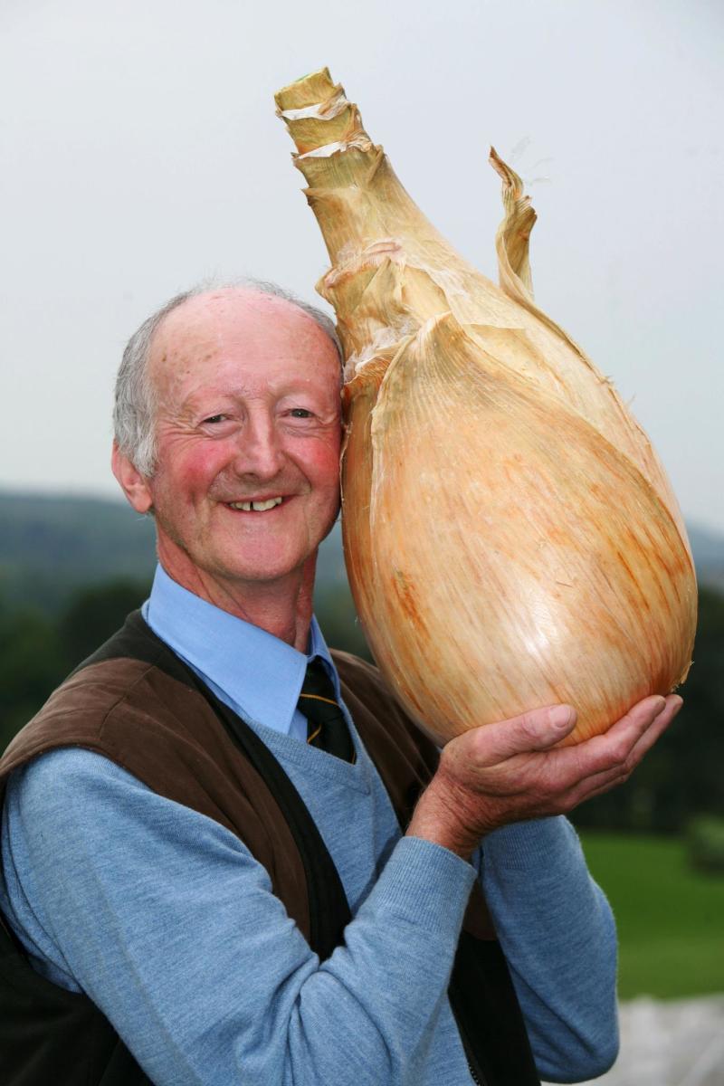 Giant Vegetable Competitions Dengarden