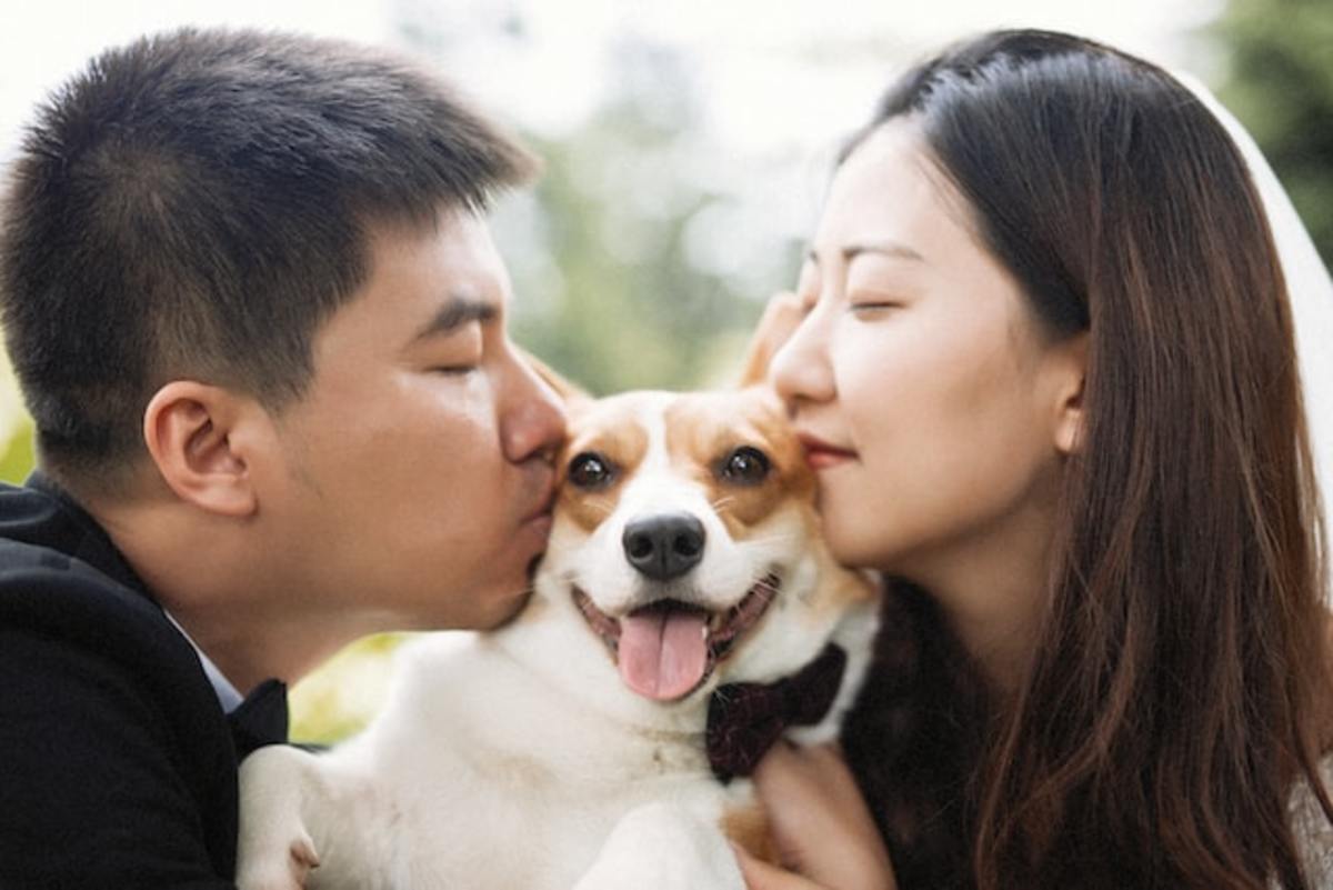 How to Choose the Right Dog for Your Family: Tips and Tricks