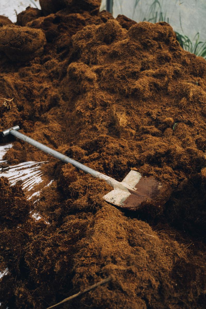 How to Clean & Prevent Your Rusty Shovels From Damaging HubPages
