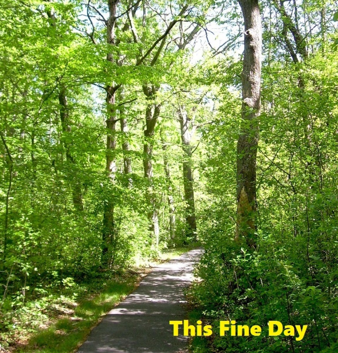 This Fine Day LetterPile