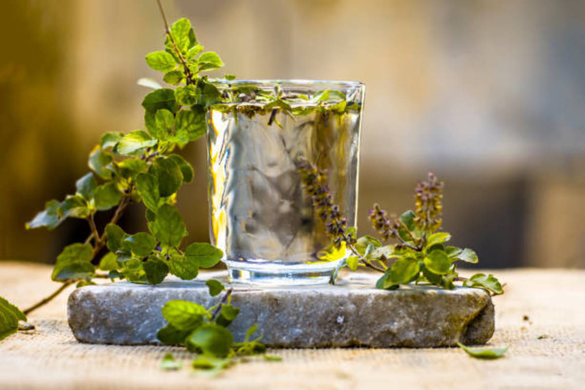 These 10 Benefits of Tulsi Leaves will Blow Your Mind!
