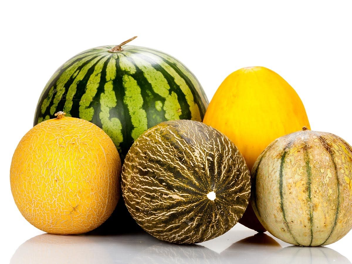 Tips for Growing Fresh and Juicy Melons