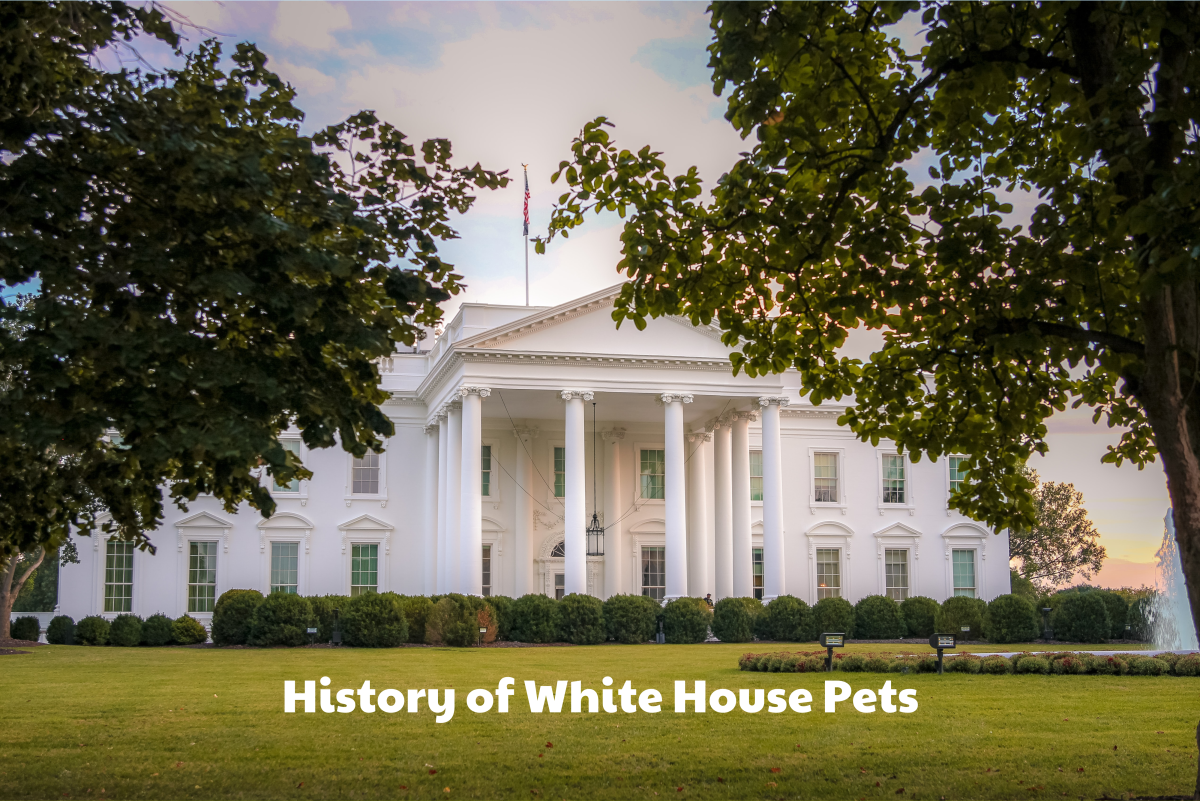 A History of White House Pets (1945-1977)