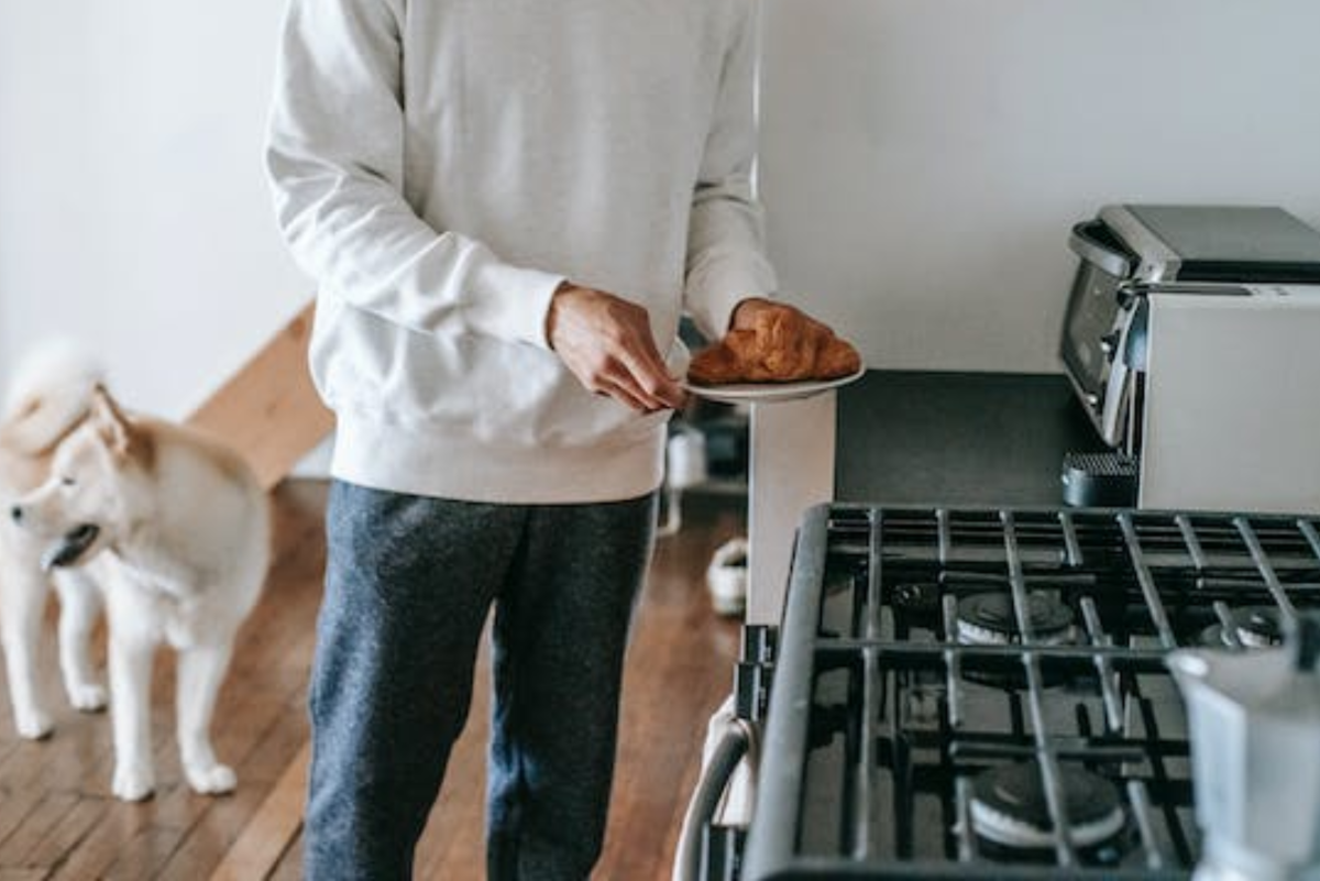 how-to-make-liver-treats-for-your-dog-pethelpful