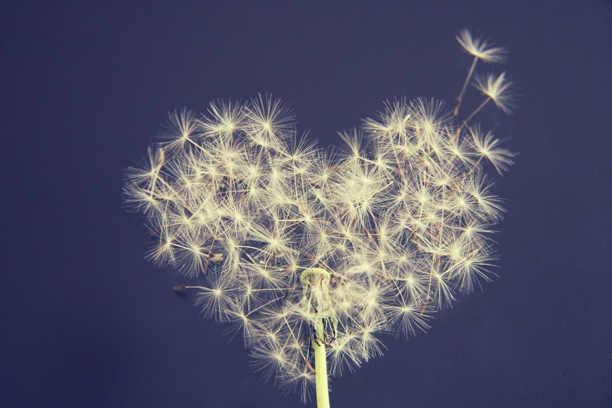 The Promise of Better Days