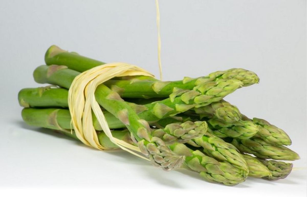 Is raw asparagus good for clearance dogs