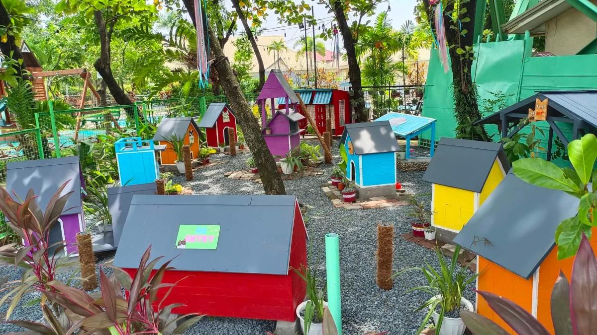 How to Make a Cat Village for Abused and Stray Cats