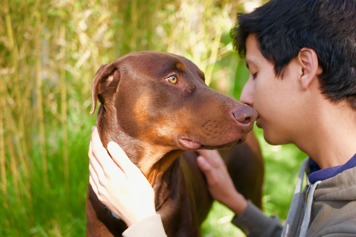 Unexpected Ways Your Dog Shows You Affection (and How to Show It Back)