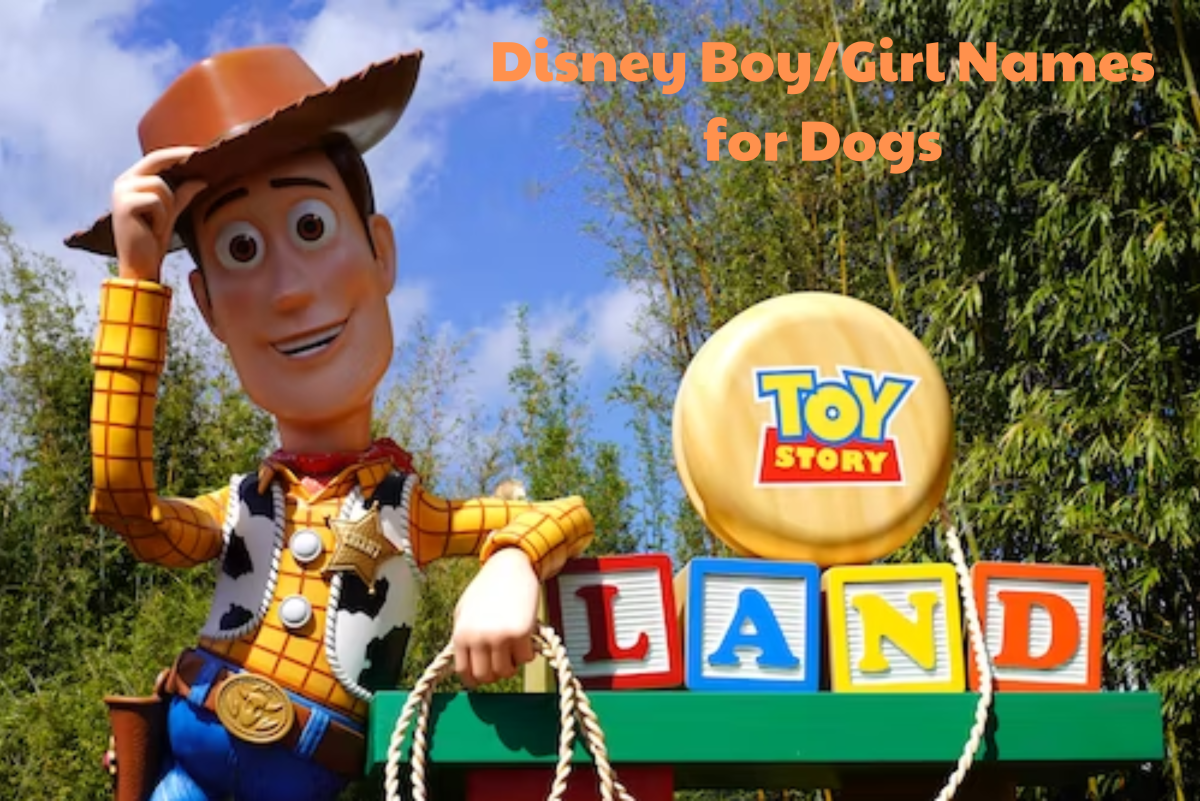 400+ Disney Girl and Boy Dog Names (With Movie Origins)