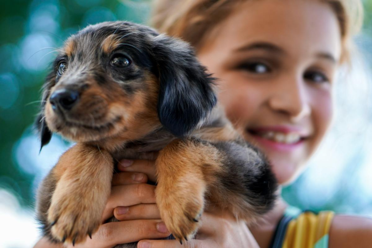 The 10 Best Dog Breeds for Kids