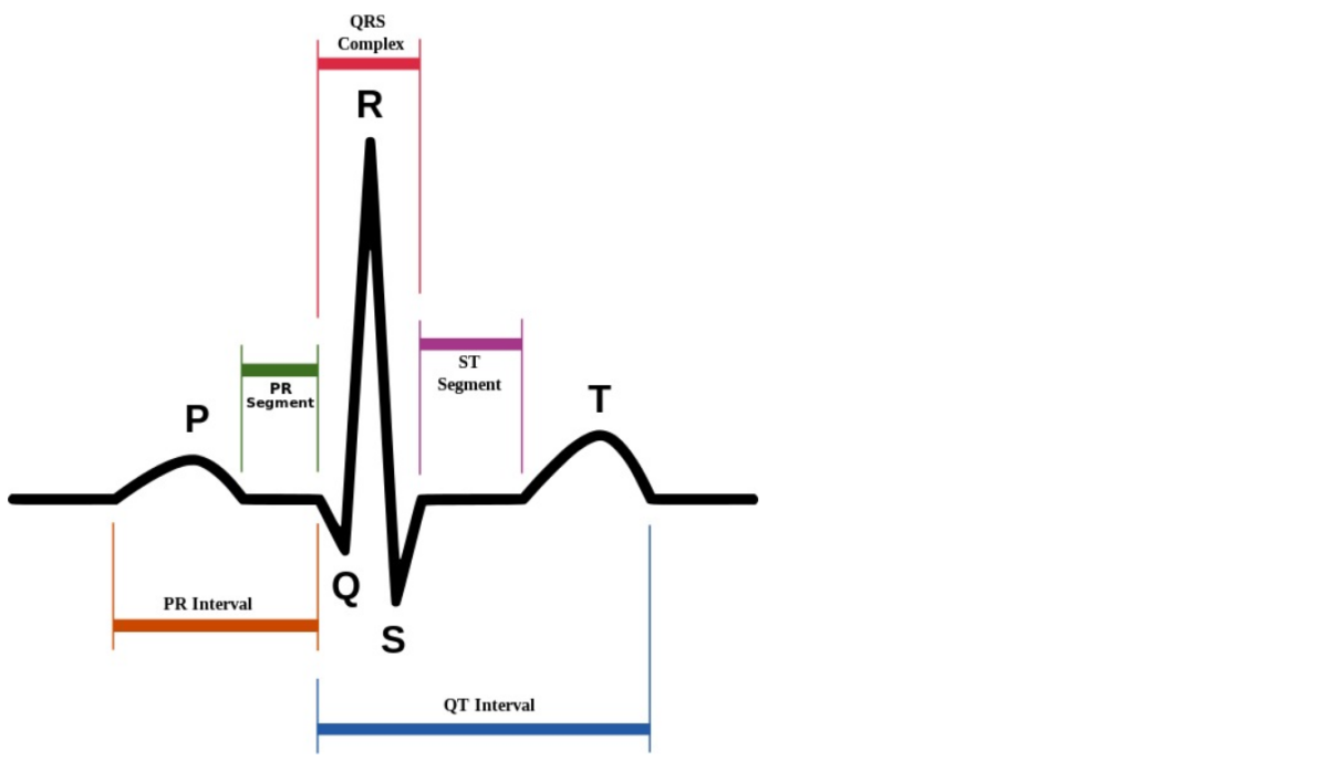 tests for diagnosing heart conditions nhs inform