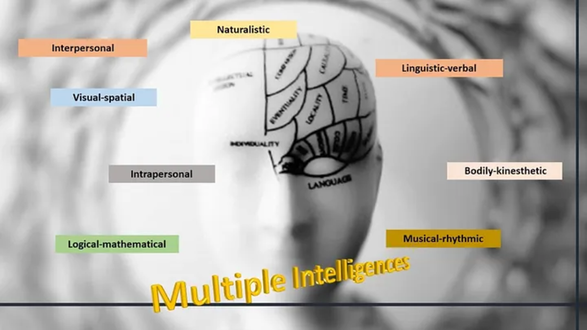 Multiple Intelligences A Different Way To Understand How We Learn Owlcation