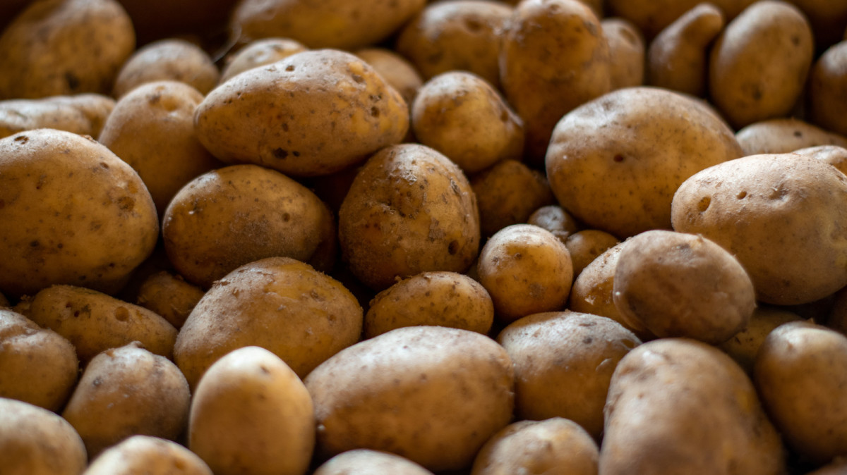 How to Successfully Grow Potatoes