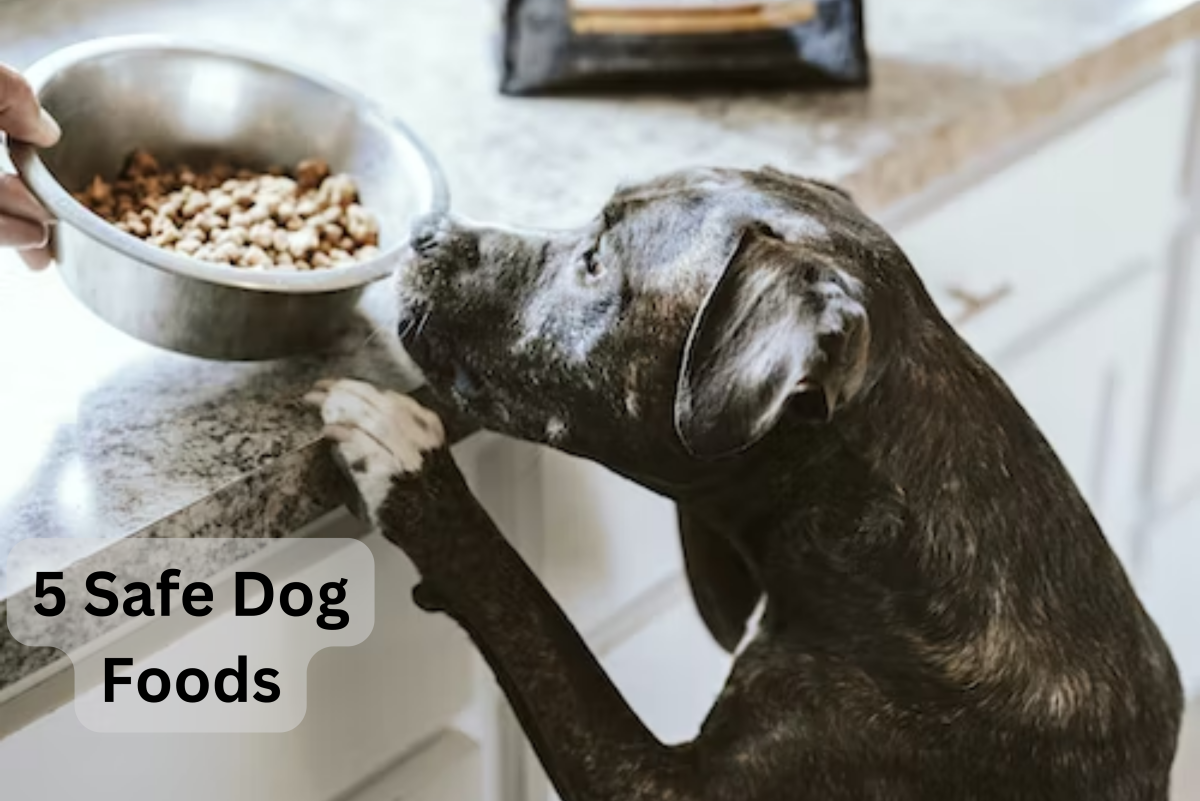 10 Foods Dogs Cannot Eat (PDF)