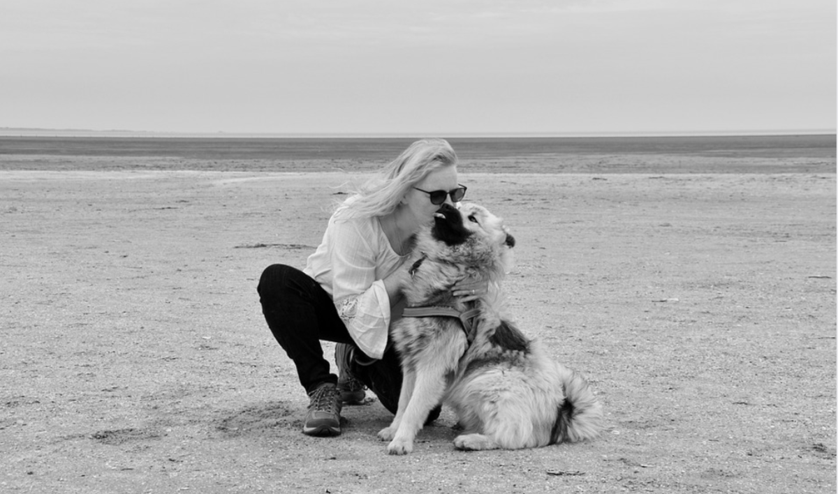 What Happens If My Dog Bites My Child