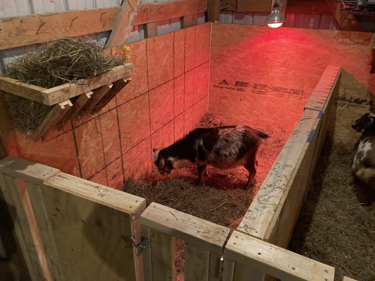 How to Make Retractable Stalls for Managing Livestock Indoors