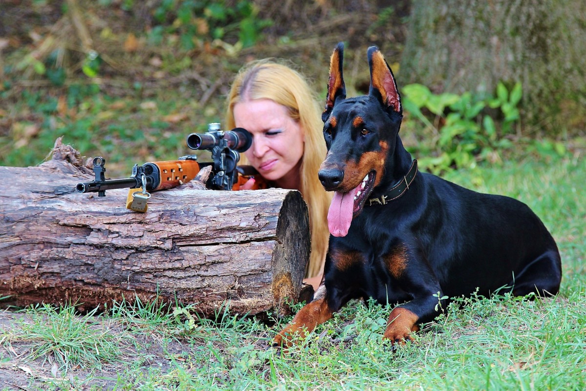 200+ Gun Names for Dogs (From Anderson to Uzi)
