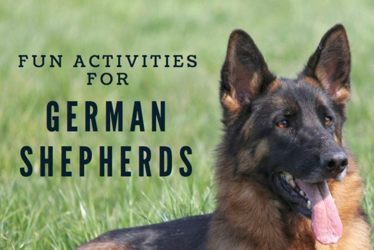 what are the german commands for police dogs