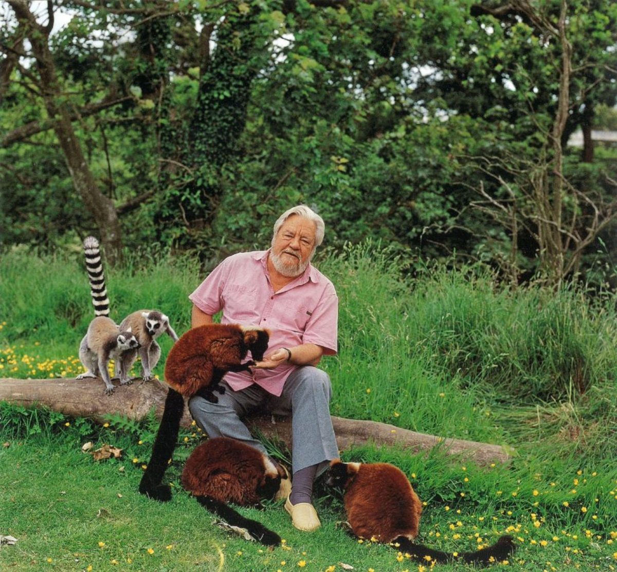Gerald Durrell: Legend and Savior of Endangered Species