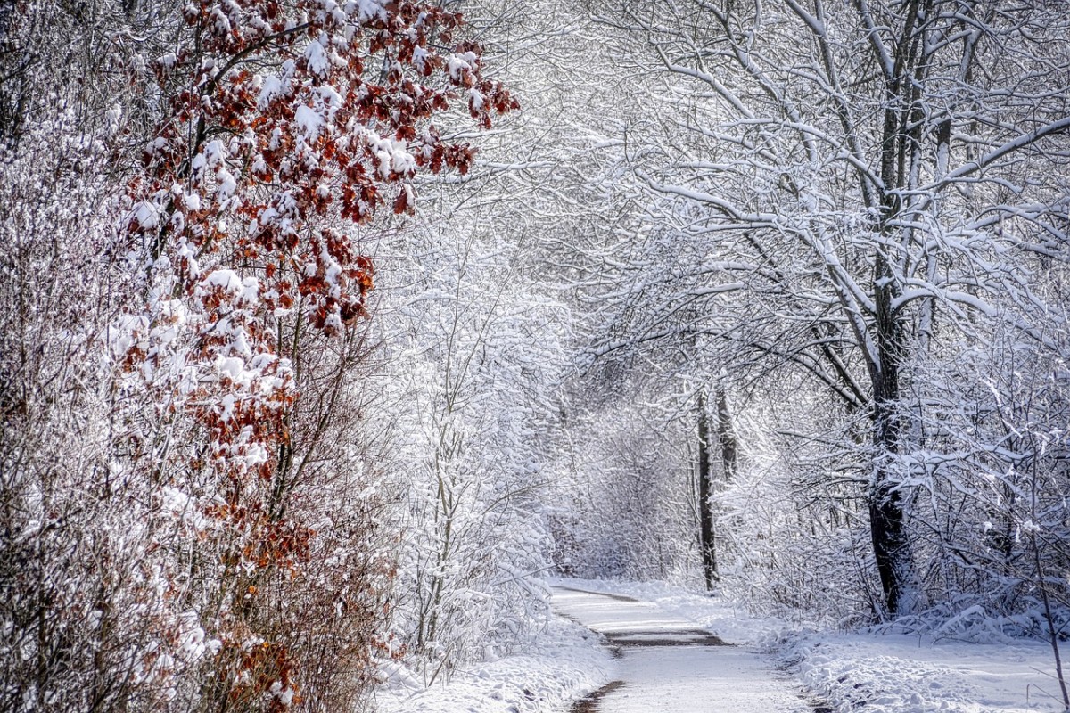 Winter Wonderland - Haiku Collection