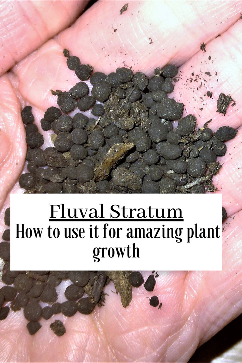 What Is Fluval Substrate and How Can It Be Used for Houseplants?