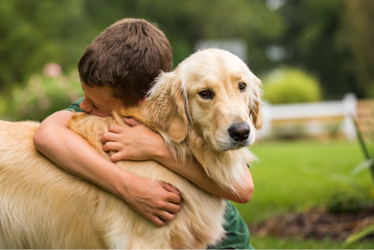 1200px x 801px - Worst and Best Dog Breeds for a Child on the Autism Spectrum - PetHelpful